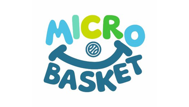 MICRO BASKET CVL